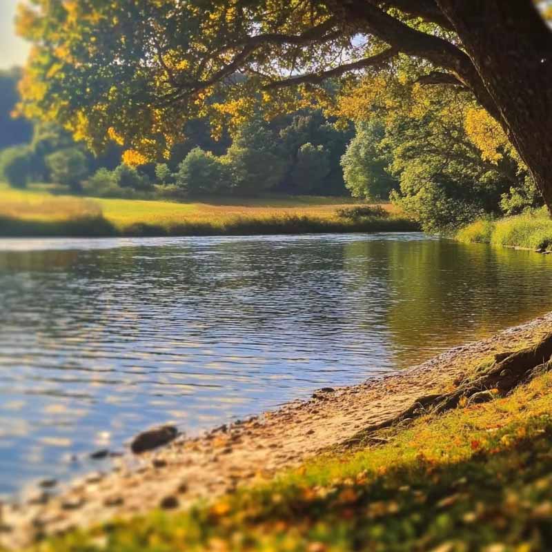 Addiction Treatment Near Lincoln, MA | Strength Recovery Center | Addiction Treatment and Drug Rehab in MA | Day Treatment PHP IOP OP and Detox